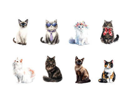 Ensemble d'images clipart de chats classiques, PNG de chats classiques, images clipart d'animaux à l'aquarelle, images clipart de chats mignons, PNG de chats, images clipart d'éléments de fêtes, téléchargement instantané
