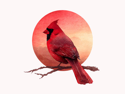 Watercolor Red Cardinal Clipart png Bundle, Red Cardinal Clipart, Cute Red Cardinal Clipart, Commercial Use, Nursery Decor, Instant Download
