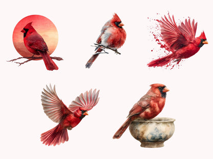 Watercolor Red Cardinal Clipart png Bundle, Red Cardinal Clipart, Cute Red Cardinal Clipart, Commercial Use, Nursery Decor, Instant Download