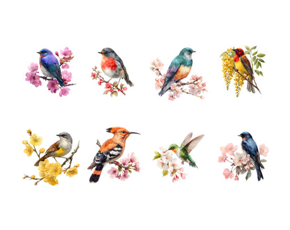 Watercolor Floral Birds Clipart, Bird Clipart Bundle png, Spring Birds Clipart, Blossom, Baby Shower, Commercial Use, Digital Download