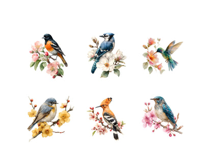Watercolor Floral Birds Clipart, Bird Clipart Bundle png, Spring Birds Clipart, Blossom, Baby Shower, Commercial Use, Digital Download