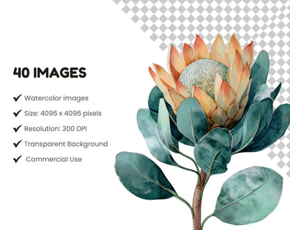 Watercolor Flower Design Clipart Bundle, Floral Pattern Set, Flower png, Flower Digital Download, Floral Boquete Clipart, Commercial Use