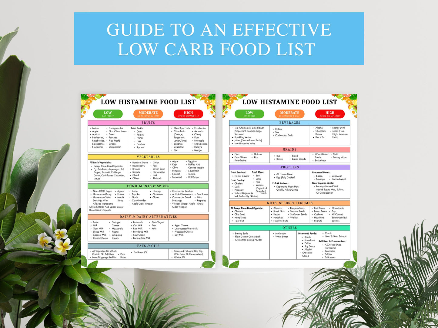Low Histamine Food List, Printable Low Histamine Food Diet, Low Histamine Grocery List, Low Carb Food Guide, Instant Download