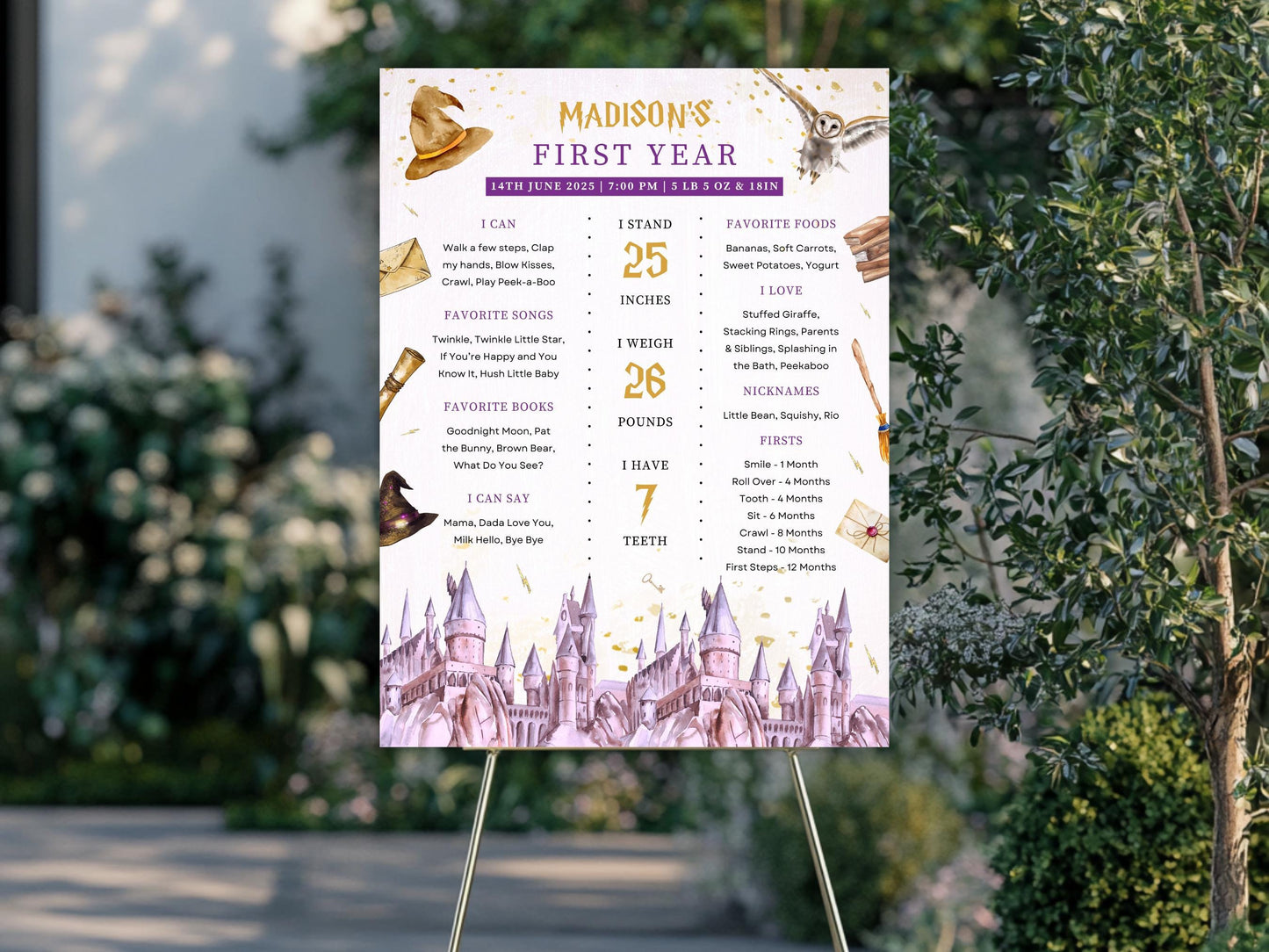 Meilensteintafel zum Zauberergeburtstag, bearbeitbare Meilensteintafel zum ersten Geburtstag, magisches Poster zum 1. Geburtstag, Meilensteintafel zum Geburtstag des Auserwählten