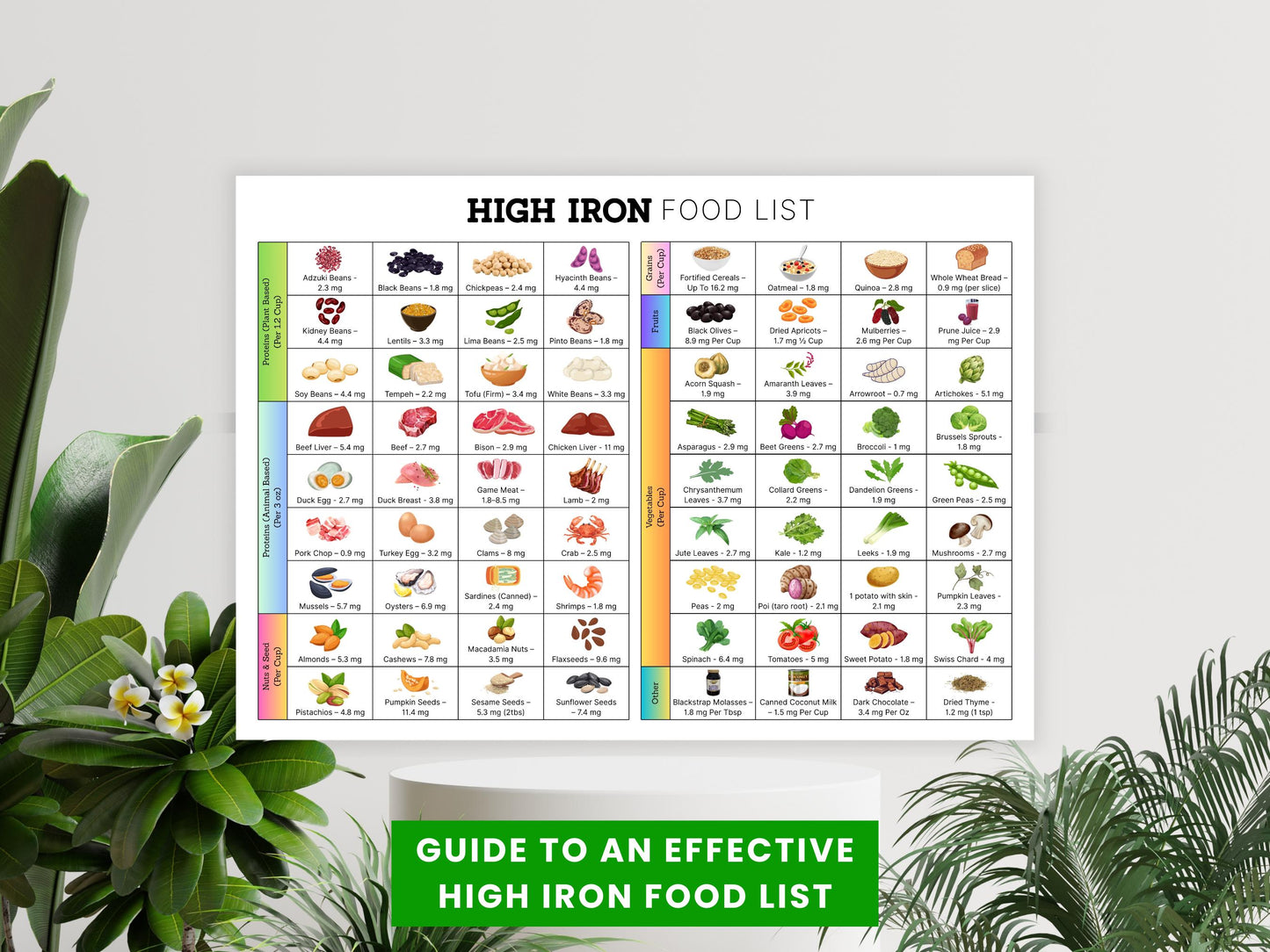 High Iron Food List Printable, Iron Rich Food List, Anemia Diet List, List Of Food with Iron, Iron Food Guide, Iron Food Chart