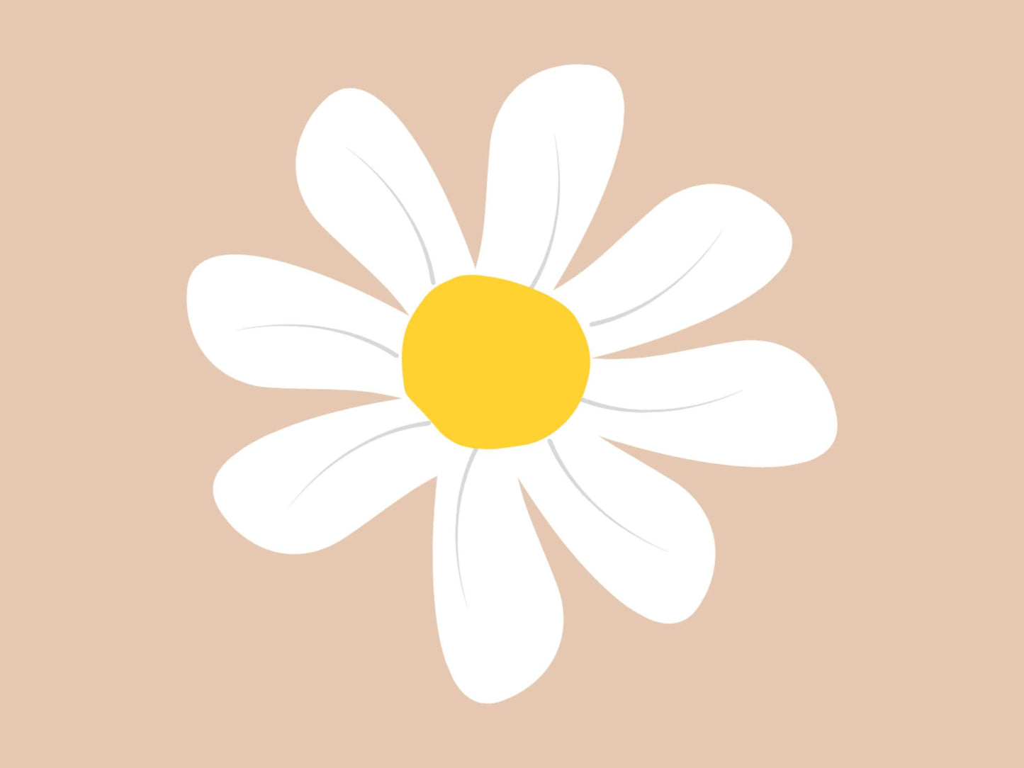 Images de marguerites, lot de fleurs de marguerite aquarelle au format PNG, clipart floral, images de marguerites en fleurs, usage commercial, téléchargement instantané