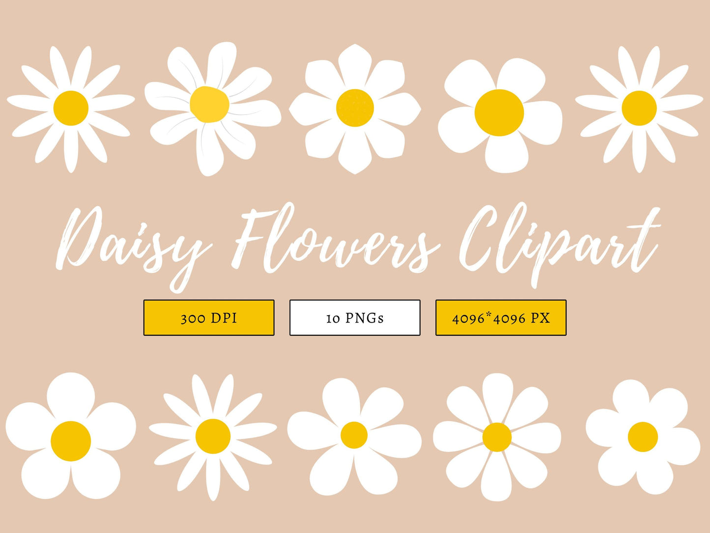 Images de marguerites, lot de fleurs de marguerite aquarelle au format PNG, clipart floral, images de marguerites en fleurs, usage commercial, téléchargement instantané