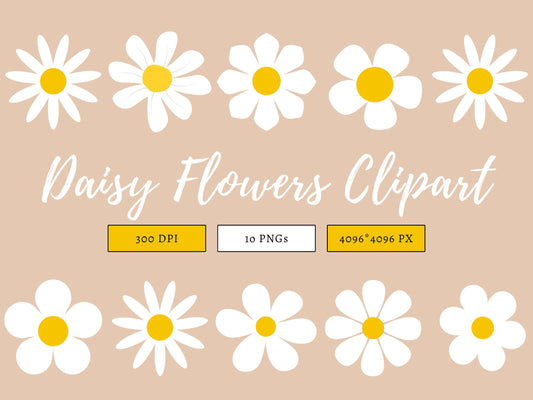 Daisy Flower Clipart, Watercolor Daisy Flower PNG Bundle, Floral Clipart, Daisy Blooms Clipart, Commercial Use, Instant Download