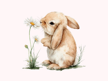 Pink Boho Bunny Clipart Bundle, Baby Shower Bunnies PNG, Cute Bunnies Clipart, Sweet Bunny Ballerina PNG, Pink Bunny png, Instant Download