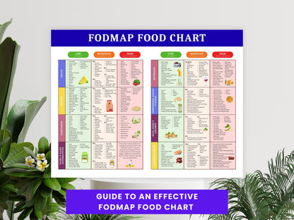 FODMAP Food Chart Printable, IBS Diet Guide, Low Fodmap Food List, Nutrition Guide, Gut Helath, IBD Meal Plan, Instant Download