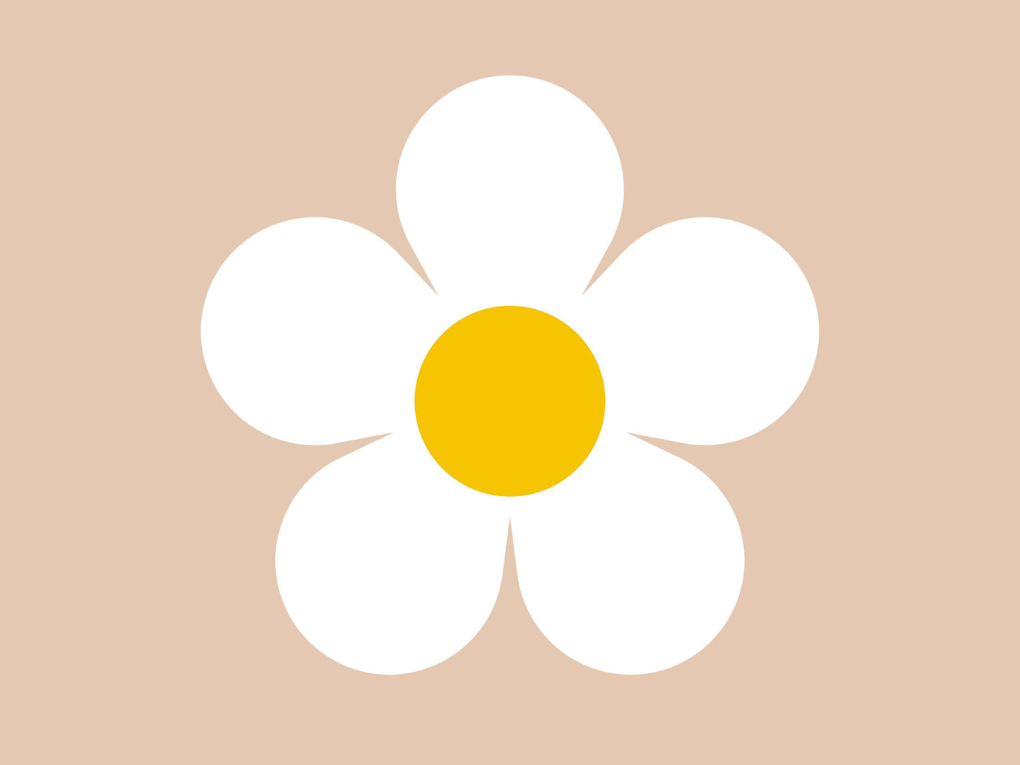 Images de marguerites, lot de fleurs de marguerite aquarelle au format PNG, clipart floral, images de marguerites en fleurs, usage commercial, téléchargement instantané