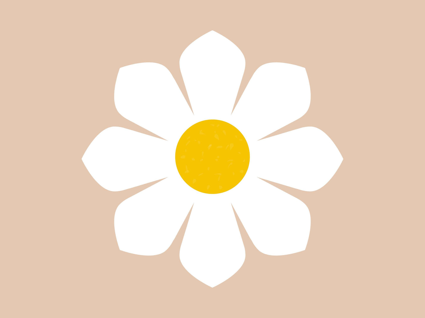 Images de marguerites, lot de fleurs de marguerite aquarelle au format PNG, clipart floral, images de marguerites en fleurs, usage commercial, téléchargement instantané